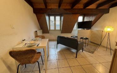 Furnished flat 1.5 rooms - image - 2