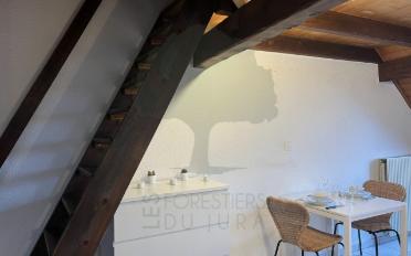 Furnished flat 1.5 rooms - image - 6