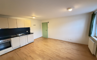 Apartment 1.5 rooms - image - 2