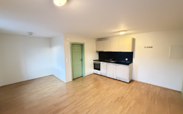 Apartment 1.5 rooms - image - 1