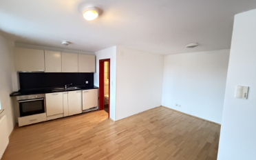 Appartement 1.5 pièces - image - 1