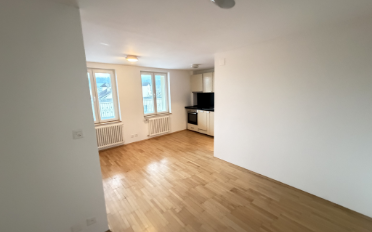 Appartement 1.5 pièces - image - 2