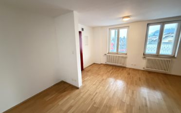 Appartement 1.5 pièces - image - 3