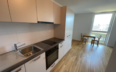 Appartement meublé 1 pièce - image - 4