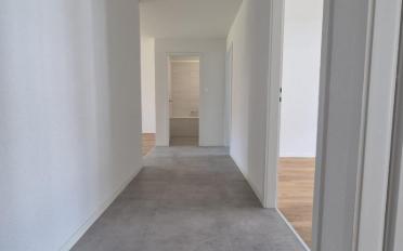Appartement 3.5 pièces - image - 6