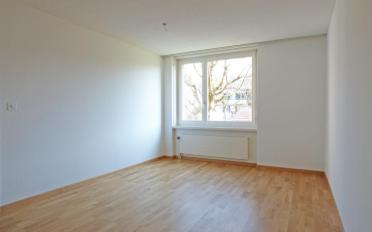 Wohnung 3.5 Zimmer - image - 7