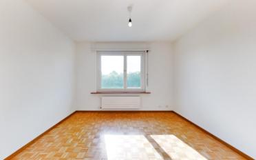 Wohnung 2.5 Zimmer - image - 5