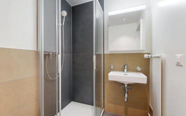 Appartement 4.5 pièces - image - 11