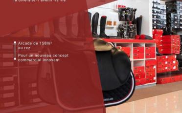 Shop - image - 6