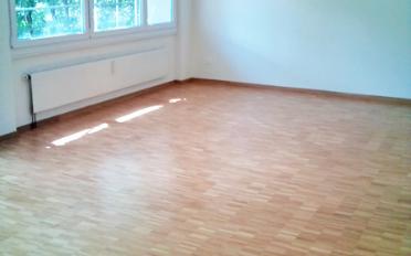 Attikawohnung 4.5 Zimmer - image - 3