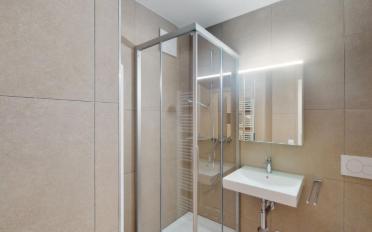 Appartement meublé 1.5 pièces - image - 4