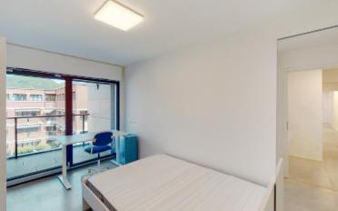 Furnished flat 1 room - image - 10