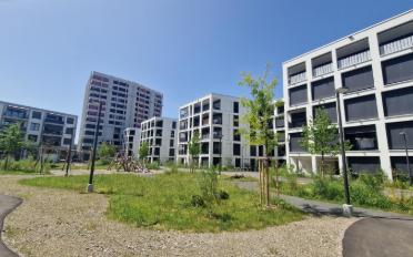 Duplex 5.5 pièces - image - 1