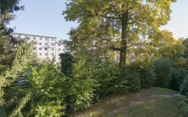 Wohnung 5 Zimmer - image - 2