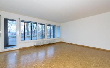 Duplex 4 Zimmer - image - 3