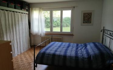 Wohnung 2.5 Zimmer - image - 3