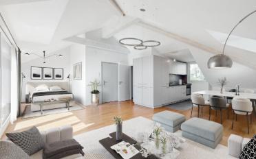 Loft 1.5 pièces - image - 1
