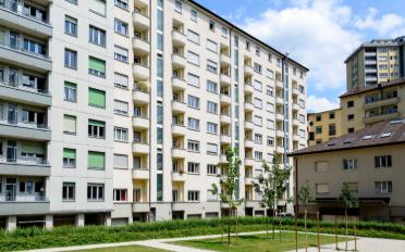Apartment 1 room - image - 2