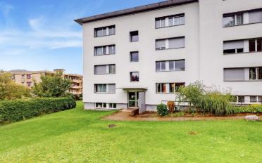 Wohnung 3.5 Zimmer - image - 1