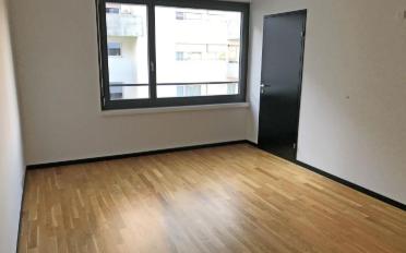 Apartment 2.5 rooms - image - 5