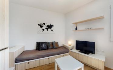 Appartement meublé 1 pièce - image - 5