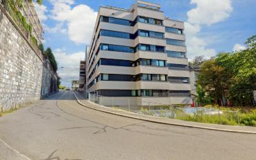 Wohnung 2.5 Zimmer - image - 1