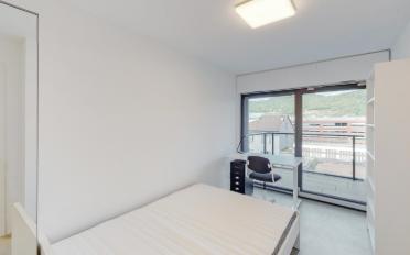 Wohnung 1.5 Zimmer - image - 6