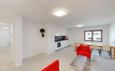 Apartment 1.5 rooms - image - 6