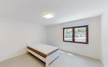 Wohnung 2.5 Zimmer - image - 5