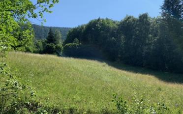 Terrain à bâtir - image - 2