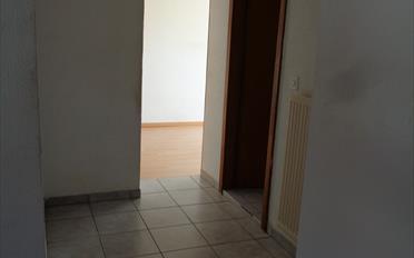 Wohnung 2 Zimmer - image - 7
