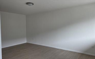 Wohnung 2.5 Zimmer - image - 4