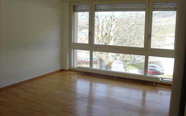 Wohnung 5.5 Zimmer - image - 3