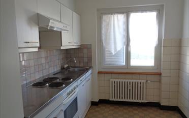 Wohnung 2.5 Zimmer - image - 1