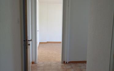 Wohnung 2.5 Zimmer - image - 5