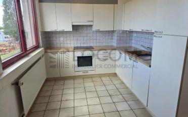Shop - image - 4