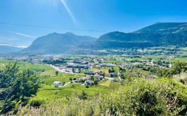 Wohnung 3.5 Zimmer - image - 4