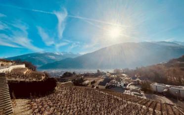 Villa 4.5 Zimmer - image - 13