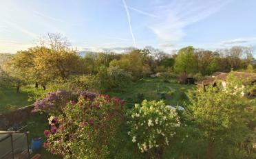 Terrace flat - image - 1