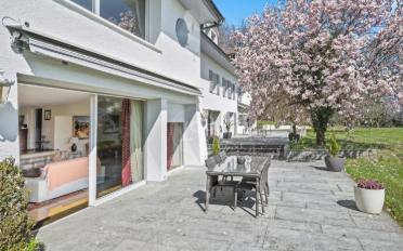 Single house 14 rooms - image - 7