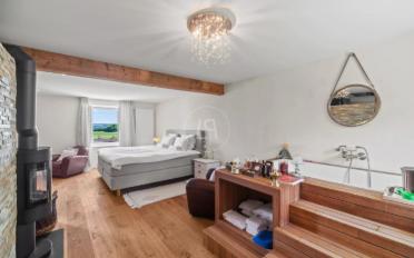 Einfamilienhaus 10 Zimmer - image - 9