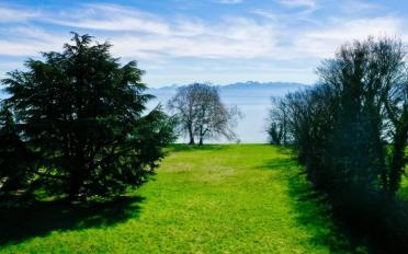 Bauland - image - 12