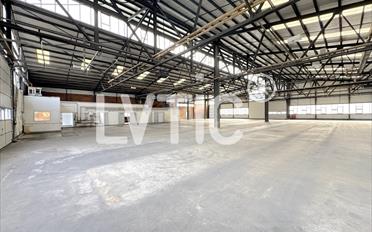 Lager - image - 4