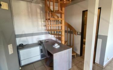 Wohnung - image - 5