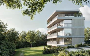 Appartement 2.5 pièces - image - 6