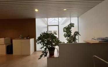 Büro 18 Zimmer - image - 3