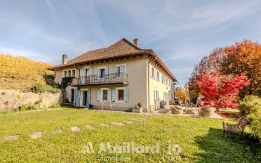 Single house 11 rooms - image - 4