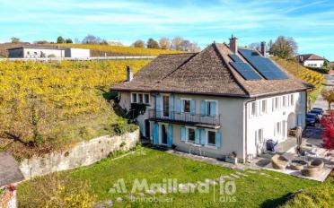 Single house 11 rooms - image - 2