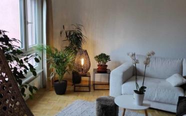 Wohnung 3.5 Zimmer - image - 4