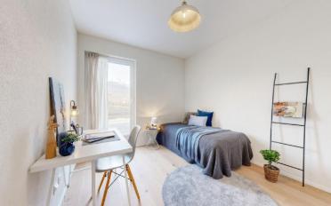 Wohnung 5.5 Zimmer - image - 6